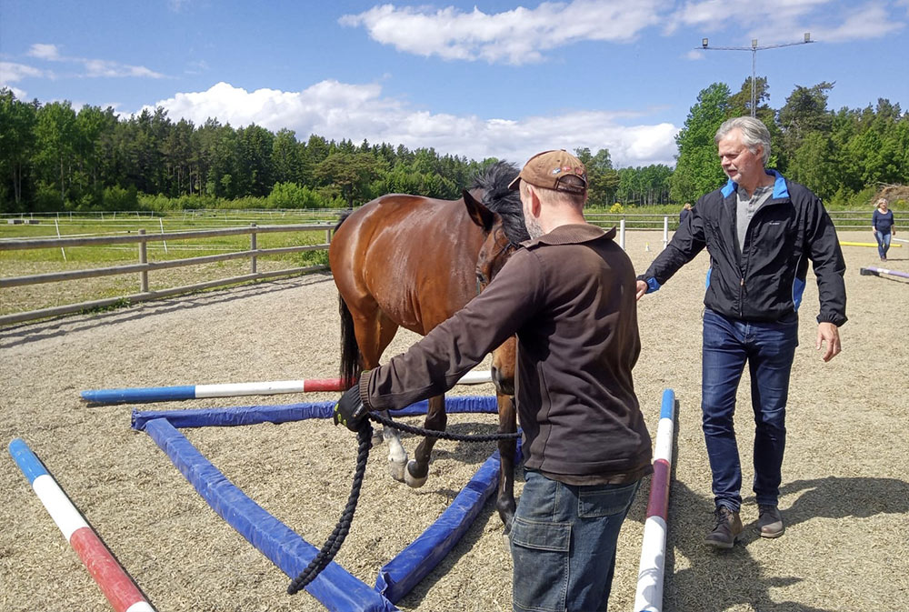 Män som tränar en häst
